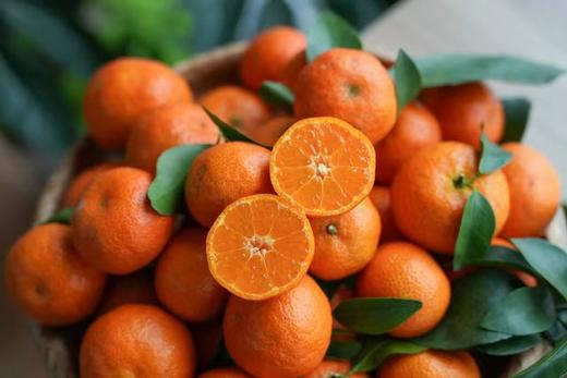 【10号晚24点截单 漓江砂糖橘】沙糖桔自然生长 有花皮 不打甜蜜素 无催熟剂 无染色打蜡 沙糖桔口感细腻 味清甜 商品图0