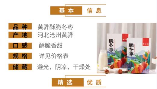 枣小样——黄骅酥脆冬枣 商品图2