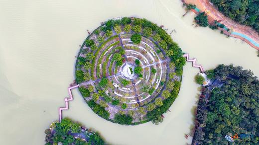 1月20日【肇庆】漫步星湖公园 邂逅鹭鸟天堂1天 商品图5