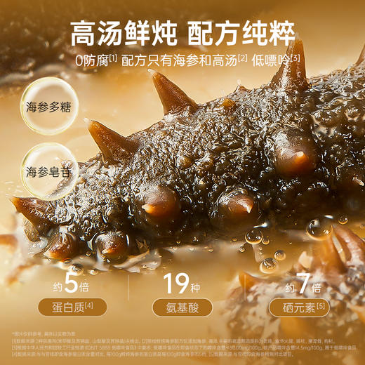 【鲜炖海参】官栈鲜炖即食大连海参辽参滋补合集 顺丰包邮 商品图6