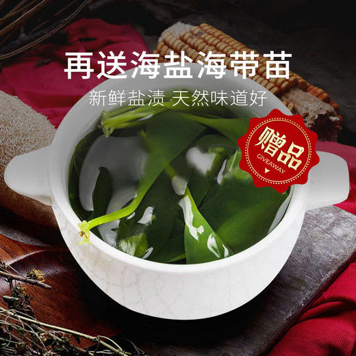【压缩海带】补钙宝盒 2盒（16g*10袋/盒）共20袋仅需119元，加送海带苗一斤紫菜50g。 商品图3