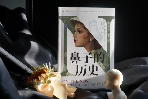 鼻子的历史：一部关于鼻子的极简文化史，一座图文并茂的“纸上鼻子馆”，一场带你穿越古今审美文化的鼻子之旅！ 商品图1