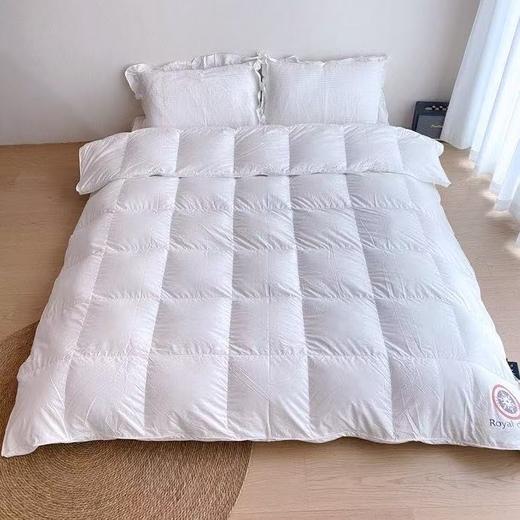 舒适保暖鹅绒被 商品图0