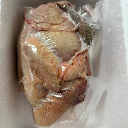 草鸡（百达）1只（杀完2.5斤以上） 商品图1
