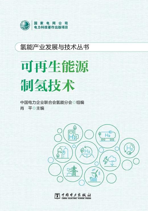 氢能产业发展与技术丛书 可再生能源制氢技术 商品图1