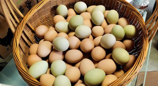 两件8折 | 桐庐莪山金奖鸡蛋 黑鸡蛋/绿壳蛋/茶香蛋 商品图4