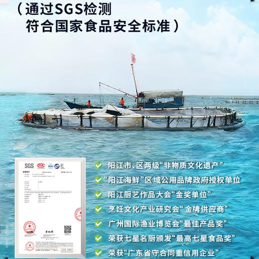 【一条主骨 不卡喉】【配料表干净 活杀速冻锁鲜 低脂高蛋白】鱼宗师 广东阳江·海水鲷鱼 天然咸淡水交汇 无腥 商品图3