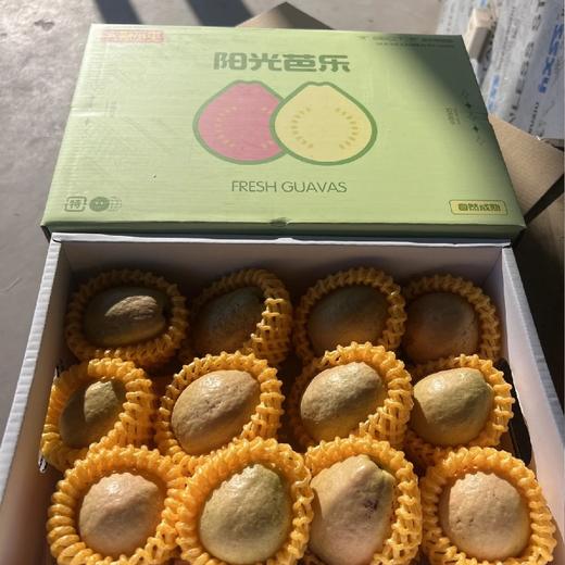 草莓红心芭乐【3.5斤】：软心、丝滑、香甜、细糯、多汁！香气重，风味浓，滑滑嫩嫩。 商品图2