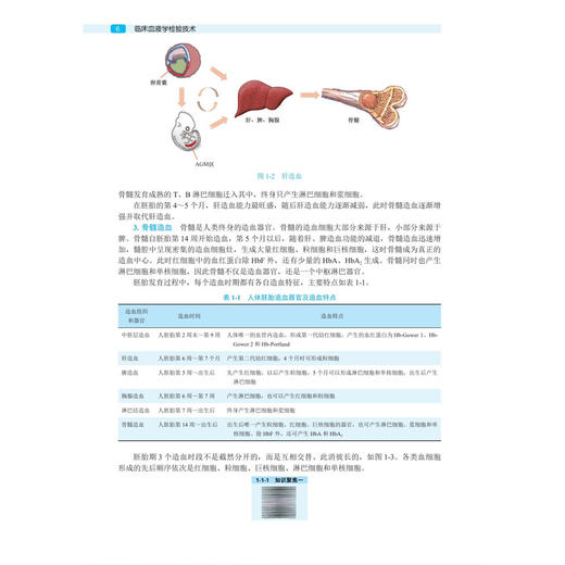 临床血液学检验技术（案例版）普通高等教育案例版医学规划教材 屈晨雪 陈婷梅 韩冰 主编 供医学检验技术等专业使用 科学出版社 商品图4