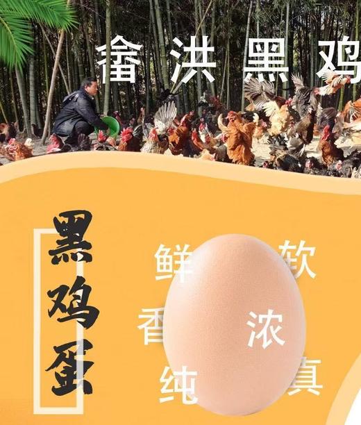 两件8折 | 桐庐莪山金奖鸡蛋 黑鸡蛋/绿壳蛋/茶香蛋 商品图2