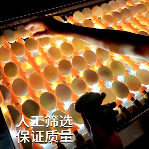 【广西烤海鸭蛋】蛋黄流油翻沙 醇香绵密 蟹黄般鲜美 商品图4