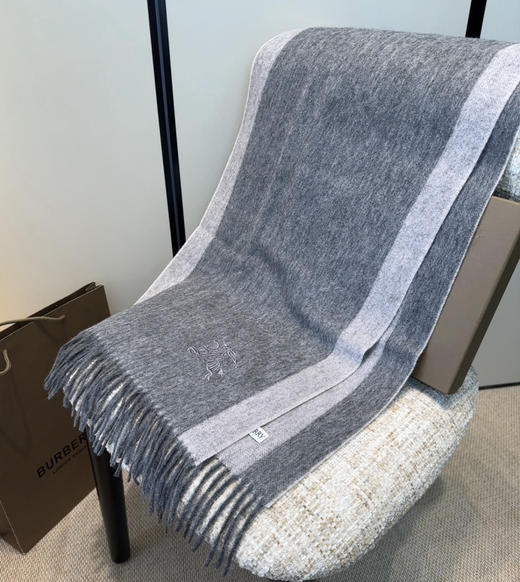 秋冬特惠💰280 巴宝莉男女围巾 商品图6