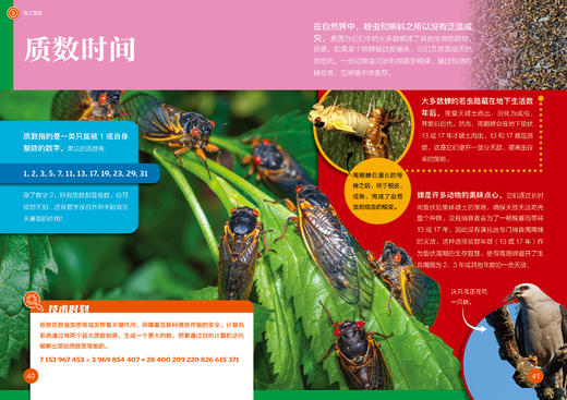 【9岁+】《了不起的数学》 商品图5