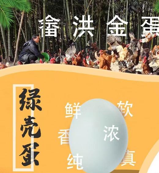 两件8折 | 桐庐莪山金奖鸡蛋 黑鸡蛋/绿壳蛋/茶香蛋 商品图1