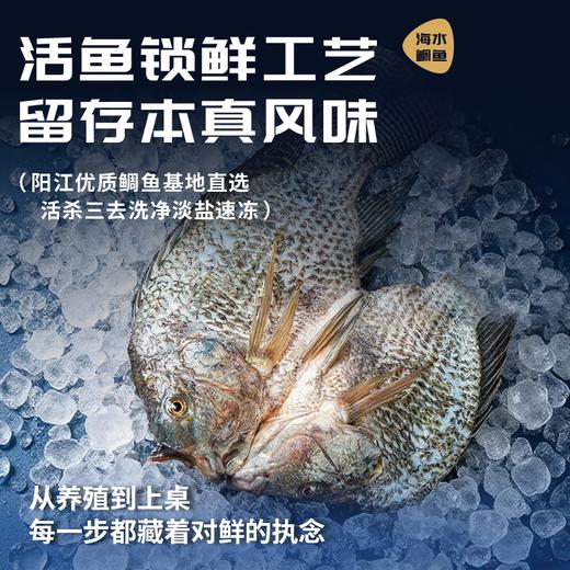 【一条主骨 不卡喉】【配料表干净 活杀速冻锁鲜 低脂高蛋白】鱼宗师 广东阳江·海水鲷鱼 天然咸淡水交汇 无腥 商品图2