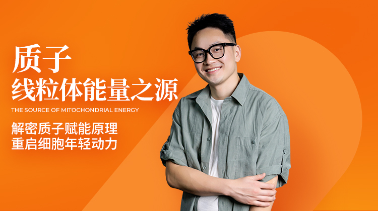 质子：线粒体能量