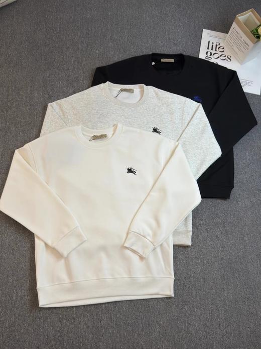 F010440高克重万针刺绣休闲圆领加绒套头卫衣 商品图0