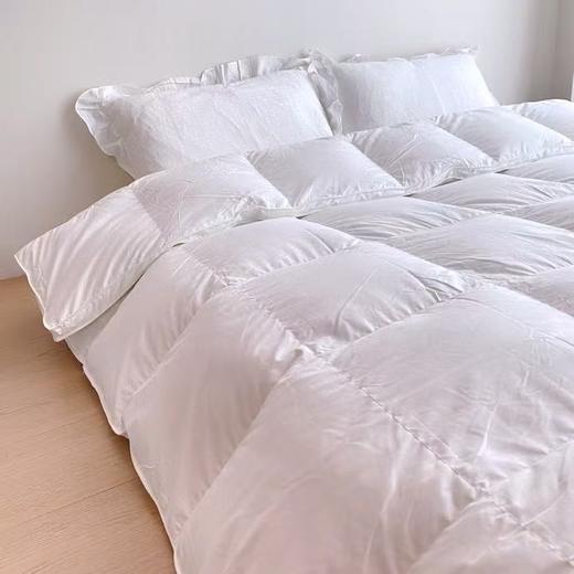舒适保暖鹅绒被 商品图2