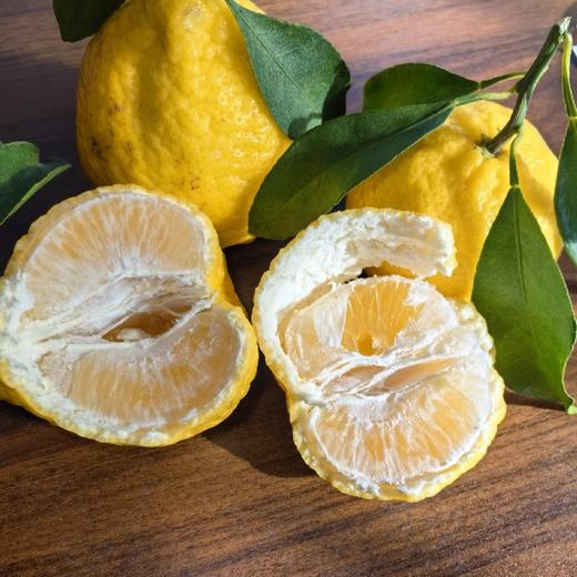 柠檬柑（一箱10斤装） 商品图0