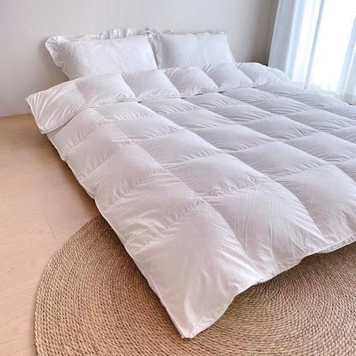 舒适保暖鹅绒被 商品图1