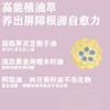 LAN蘭时光兰花臻妍精萃油30ml/瓶（3.0版本） 商品缩略图2