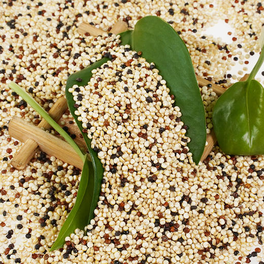 拼团|三色藜麦  颗粒饱满 干净无沙  高出芽  蒸煮皆可  300g/盒 商品图3
