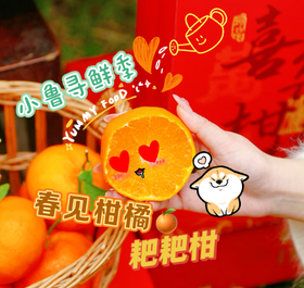 【四川蒲江】耙耙柑