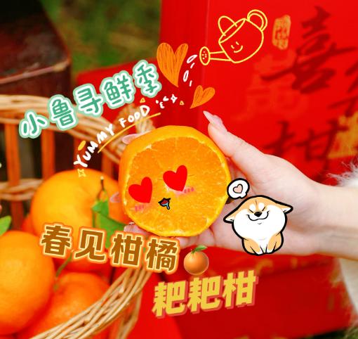 【四川蒲江】耙耙柑 商品图0