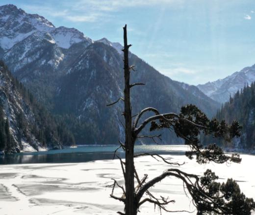 【五一】<成都+九寨沟+都江堰/熊猫乐园二选一+黄龙5天双飞纯玩团>15人精品小团 商品图1