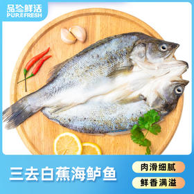 【白蕉海鲈鱼】三去白蕉海鲈鱼1.6kg/2kg四条装