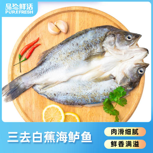 心选丨三去开背白蕉海鲈鱼1.6kg/2kg（4条装） 商品图0