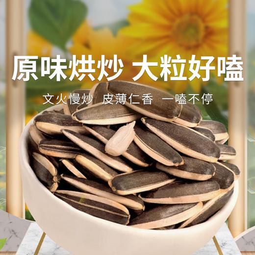 【三胖蛋大瓜子】瓜子中的“劳斯莱斯” 大果仁香味足 无坏子不脏手 商品图0