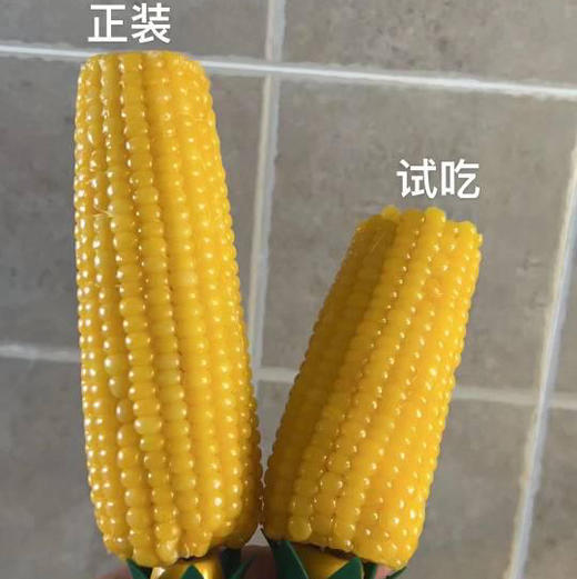 2025年新 有机糯玉米 香甜又营养 商品图3