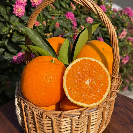 【买5斤送2斤】新鲜水果 橙香浓郁 九月红脐橙大果70mm-75mm 5斤装（十堰主城区包邮） 商品图6