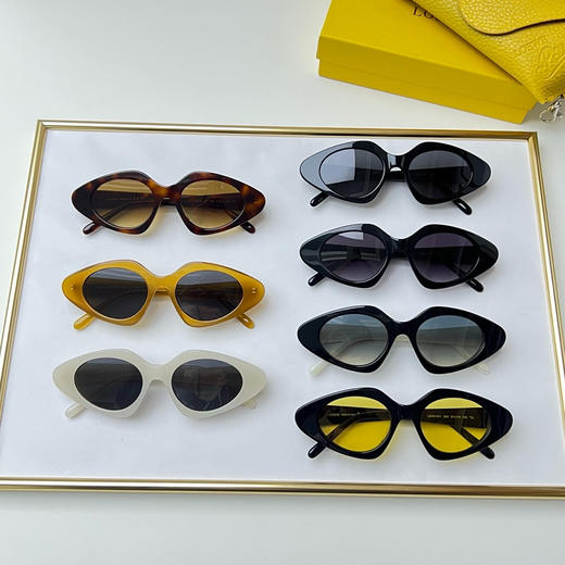 秋冬特惠💰270 罗意威眼镜 太阳镜 MODEL：LW40147I，SIZE：51口19-145 商品图1