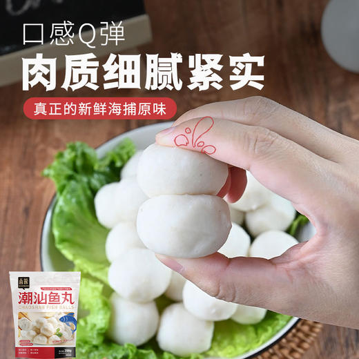 【喜辉潮汕牛鱼程祥年货礼盒】牛肉丸鱼丸卷章牛肉馅饼粿条 多种美味老少皆宜送礼佳品 到手11件带礼袋 商品图2