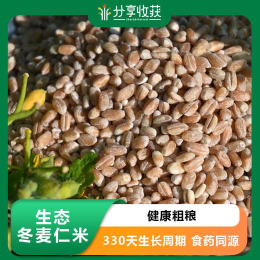 生态冬麦仁米 | 330天生长周期|食药同源 | 合作生产 商品图0