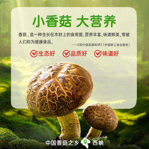 仲景香菇酱 210g/瓶 多口味任选 商品图2