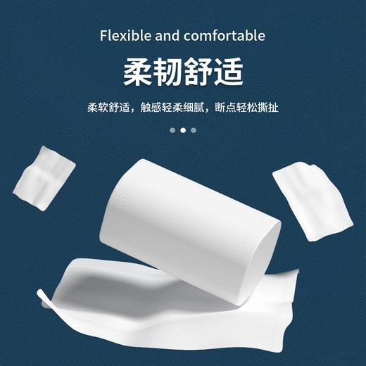 金博士卷纸12卷700克柔润舒适家用实惠装 商品图2