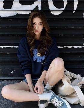 复古绿绒蒿毛巾绣加绒卫衣