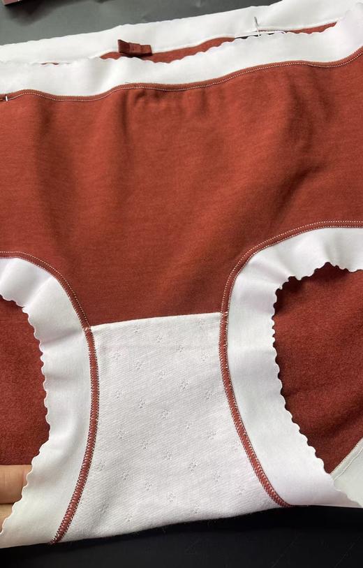 磨毛中腰内裤舒适透气高弹多款选择6002-6003-6004-6005 商品图8