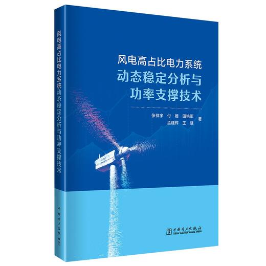 风电高占比电力系统动态稳定分析与功率支撑技术 商品图0