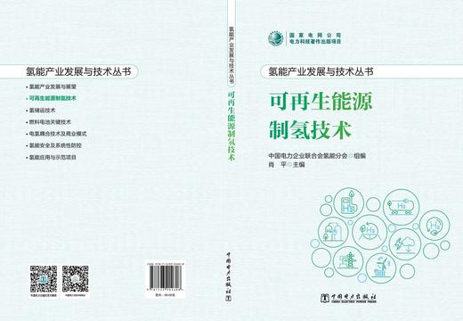 氢能产业发展与技术丛书 可再生能源制氢技术 商品图2