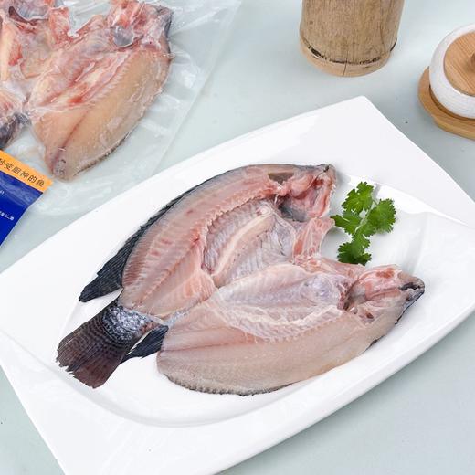 【一条主骨 不卡喉】【配料表干净 活杀速冻锁鲜 低脂高蛋白】鱼宗师 广东阳江·海水鲷鱼 天然咸淡水交汇 无腥 商品图8