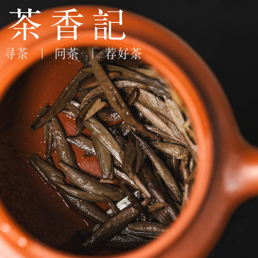 茶香记青蜜白毫银针009福鼎白茶大白毫磻溪传统工艺毫香蜜韵 商品图4