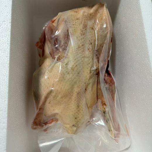 麻鸭（百达）1只（杀完2.5斤左右） 商品图1