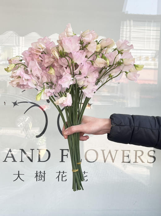 国产花材-【豌豆花】樱花浅粉 商品图1