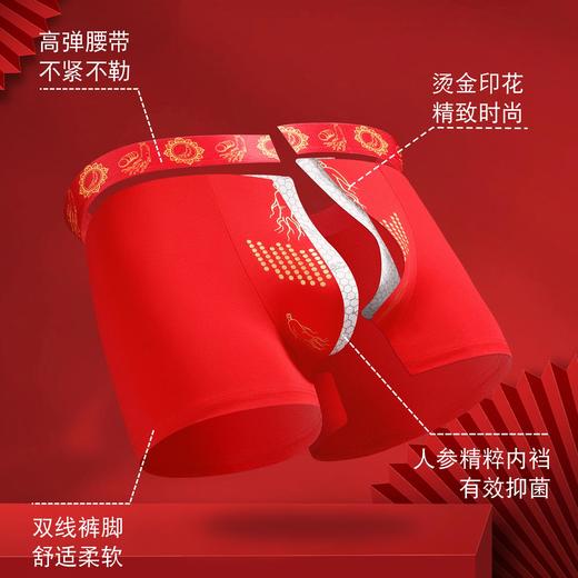 新热卖！2026红马年【天材四宝红内裤】人参 虫草 海马 鹿茸 精美礼盒 独立包装！ 商品图10
