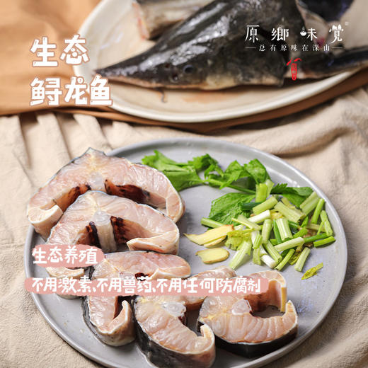 生态鲟龙鱼（基地直发-顺丰空运）|多种规格，来自广州韶关，生产者：广东瓢虫【合作生产，公平贸易】 商品图0