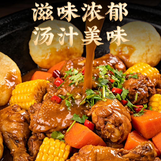 【东北铁锅炖】铁锅酱料炖排骨酱香浓郁450g/袋 含干豆角玉米粉 商品图4